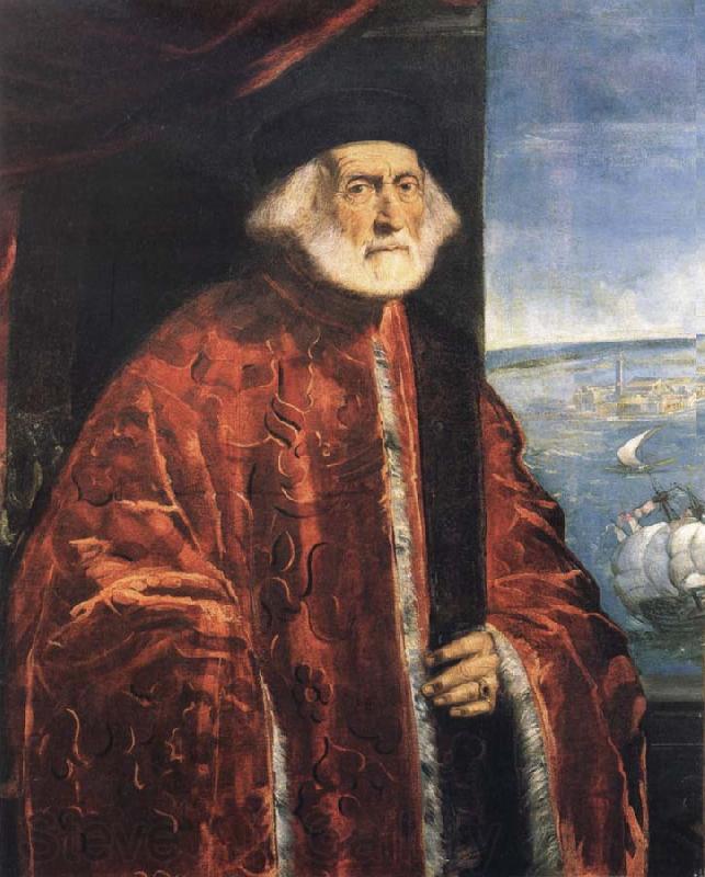 Jacopo Tintoretto Portrait of a Venetian Procurator Germany oil painting art